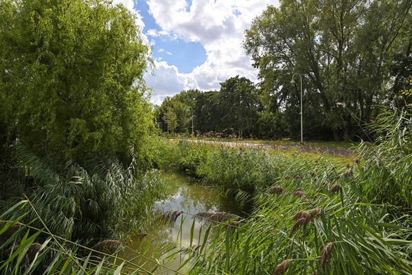 Medium property photo - Abdis Johannastraat 28, 2544 NE Den Haag